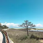 Antonella-1 By Interhome Lägenhet *